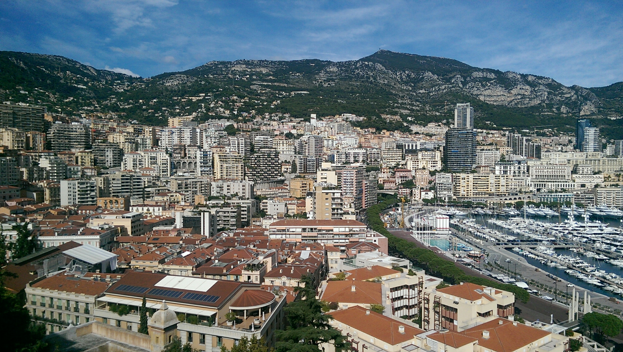 wp-1444499188498 image