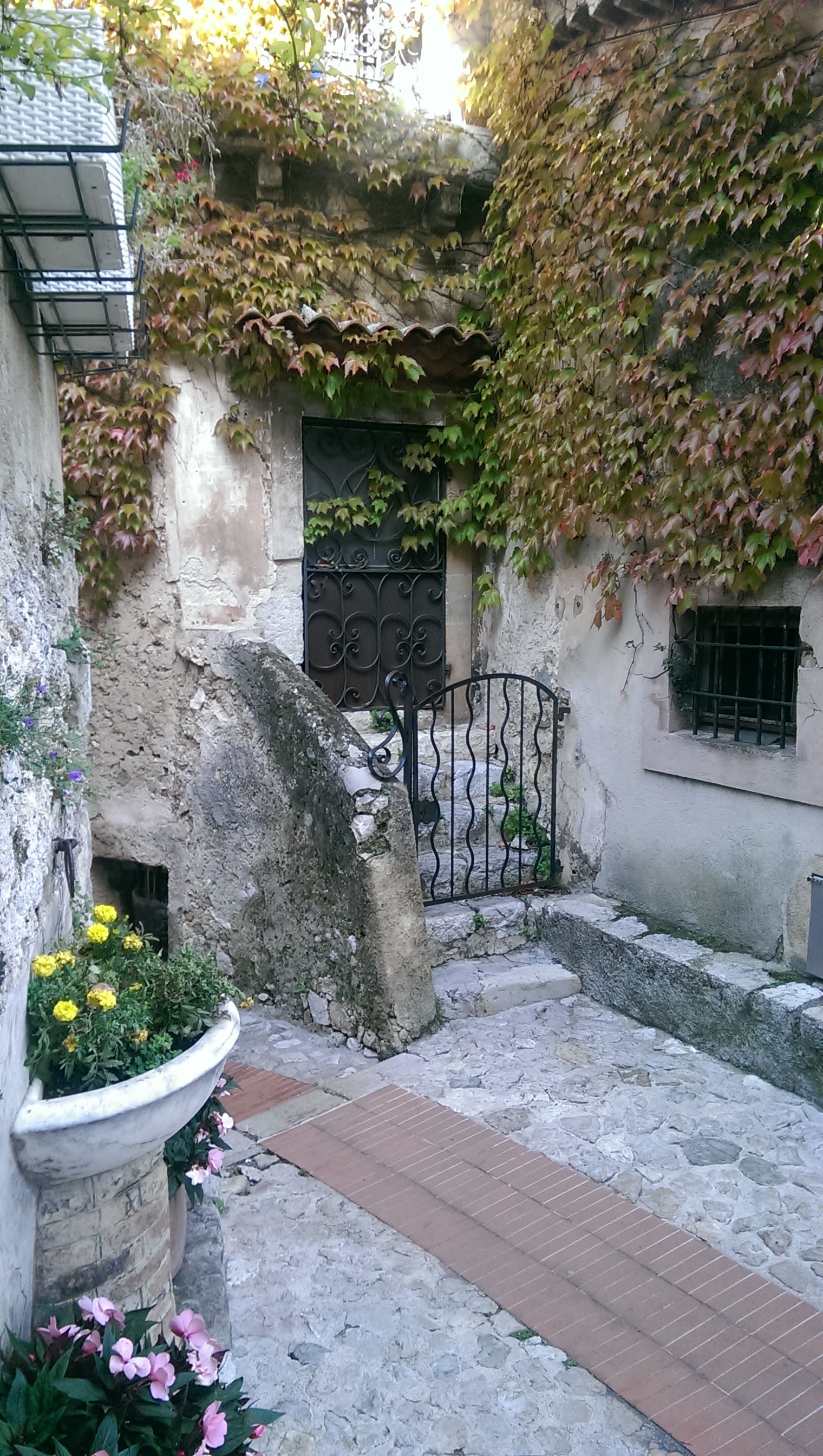 wp-1446452817685 image