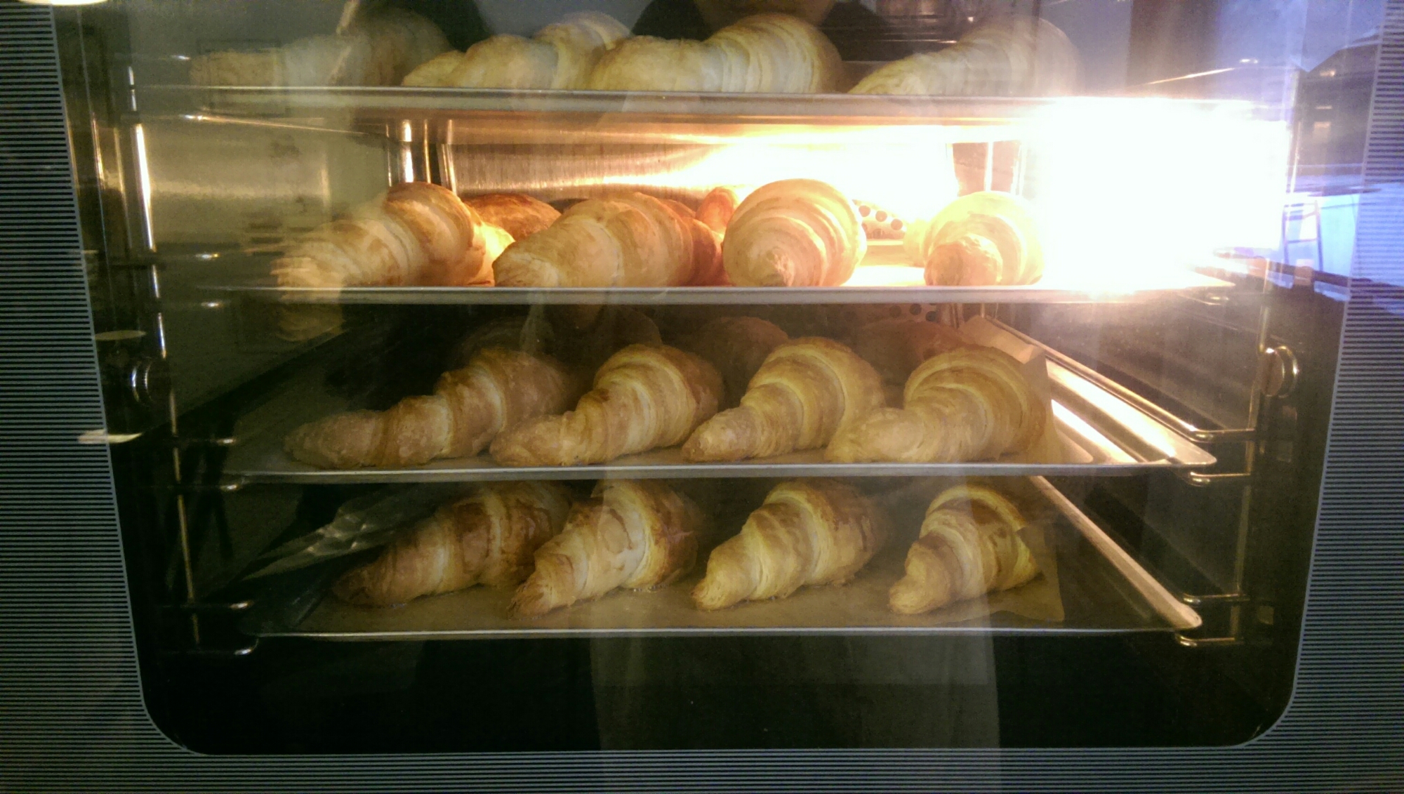 wp-1446532636502 image