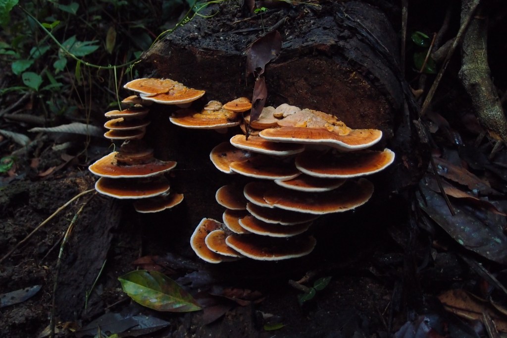 This image has an empty alt attribute; its file name is pa080704.jpg