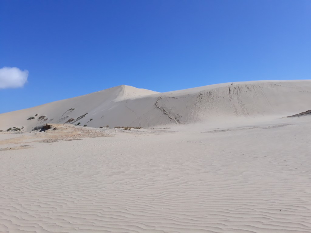 Campervanning in New Zealand: Northern North&nbsp;Island