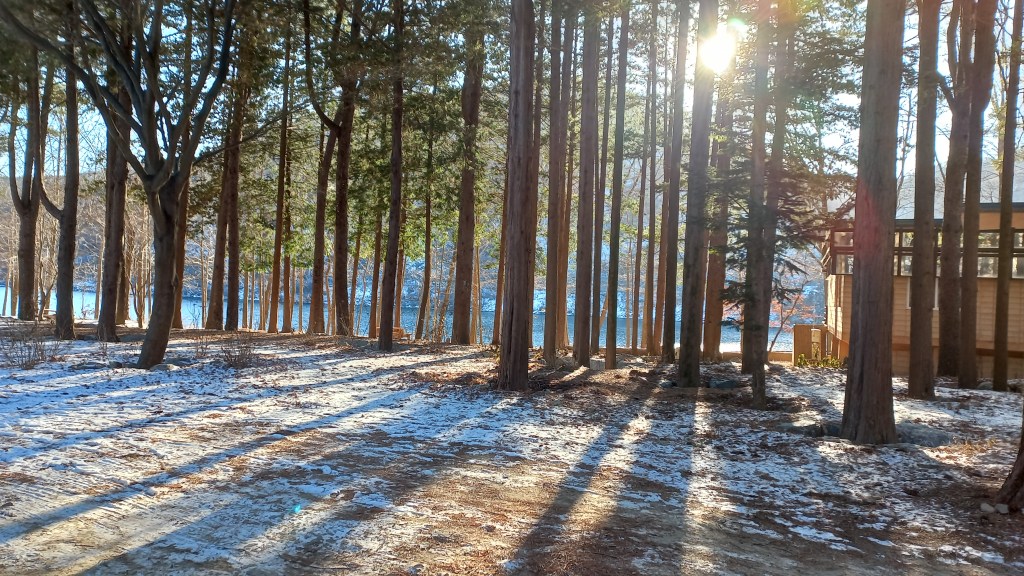 Visiting Nami Island & Petite France, South&nbsp;Korea