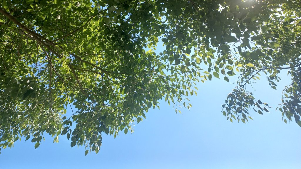 1 Month Home- Reverse Culture Shock and&nbsp;Happenings